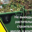На Дону завершился пожароопасный период: новые правила обращения с растительными отходами и сжигания мусора - Yarmarka161.Ru